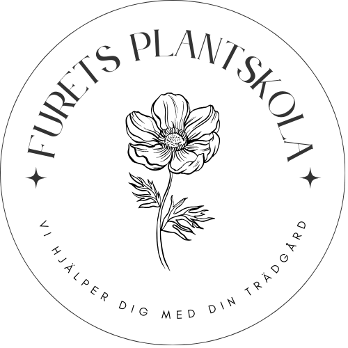 ©furetsplantskola.se
